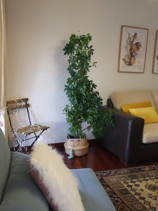 Elduayen Luxury Centro Appartement Comarca de Comarca de Vigo Buitenkant foto